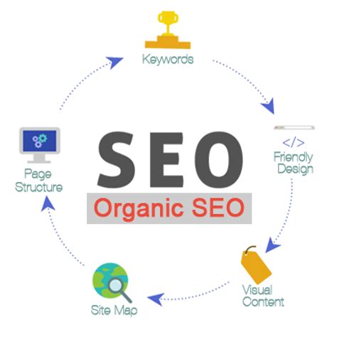 Professional SEO Services in Chicago,IL - Buscemi IT Solutions