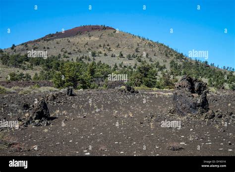 Lava Tree Fossilized Formation Craters Of The Moon National Monument