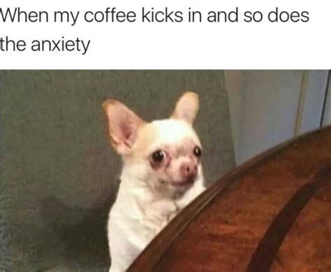 40 Funny Coffee Memes To Fuel Your Workday Inhersight