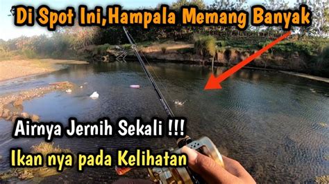 Spot BagusJarang Di Casting Hampala Nya Galak YouTube