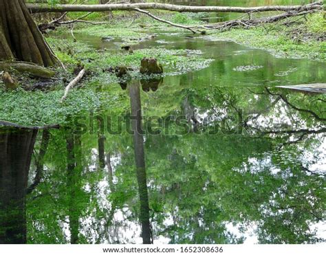 Rum Island Springs County Park Fort Stock Photo 1652308636 | Shutterstock