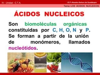 áCidos nucleicos PPT