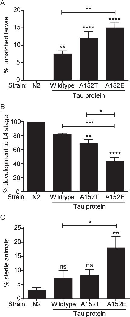 Figure 1 From Tau MAPT Disease Associated Variant A152T Alters Tau