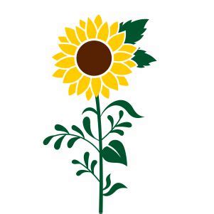 Buy Sunflower With Leaves Svg Png online in America