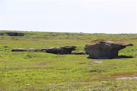 07 02 LPM L Île Nue Petite tortue poursuivie par un crocod Gaëtan