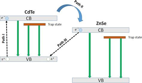 The proposed diagram for the electron–hole recombination mechanism in ...