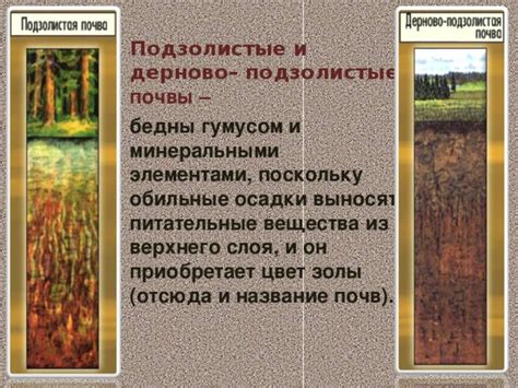 Презентация к уроку окружающего мира "Почвы России"