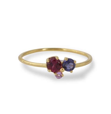 Silberring Vergoldet Mit Amethyst Rhodolith Und Iolith Campur