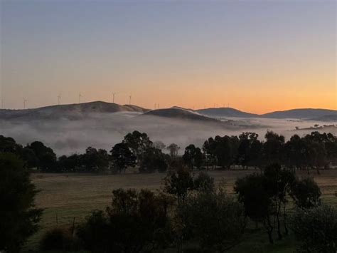 Understanding Cool Climate Wine Regions