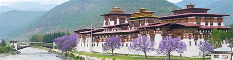 6 Days Bhutan Tour Paro Thimphu Punakha Gangtey