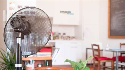 Mejores Ventiladores Para El Verano Cu L Comprar Bidcom News