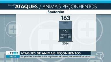 Jornal Tapaj S Edi O Santar M Registra Aumento De Quase Nos