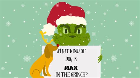 What Kind of Dog is Max from the Grinch? | Dog Training