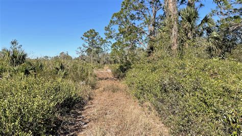 Hiking Lake Wales Ridge Florida Hikes