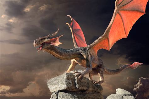 Medieval Dragon Behance