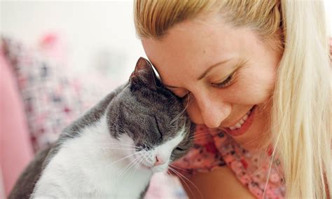 Why Does My Cat Love When I M On The Toilet At Jose Scott Blog