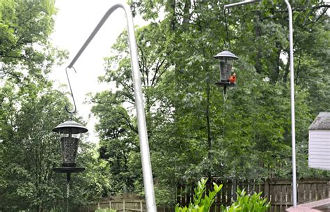 The 8 Best Diy Bird Feeder Poles Plans Photos And Videos Bird Watching Hq