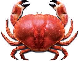 Crab Blank Template Imgflip