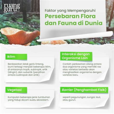 Mengenal Keanekaragaman Hayati Flora Fauna Di Dunia Biologi Kelas