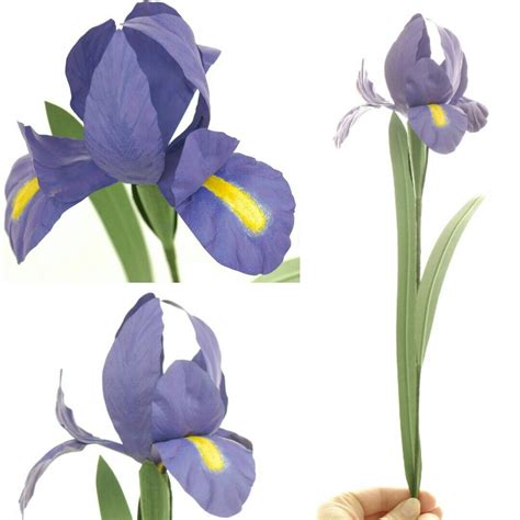 An Iris Paper Flower Flower Artists Paper Flowers Artist