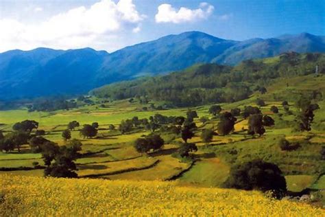 Araku Valley Tourism | Tourist Places to Visit & Travel Guide to Araku ...