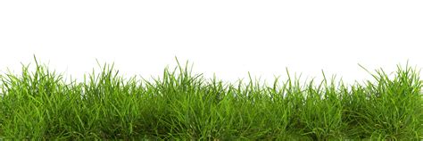 Natural fresh green grass cut out backgrounds 3d rendering 42725844 PNG