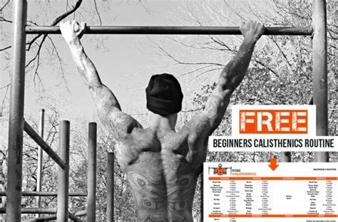 Calisthenics Workout Routine for Beginners - Pure Calisthenics ...