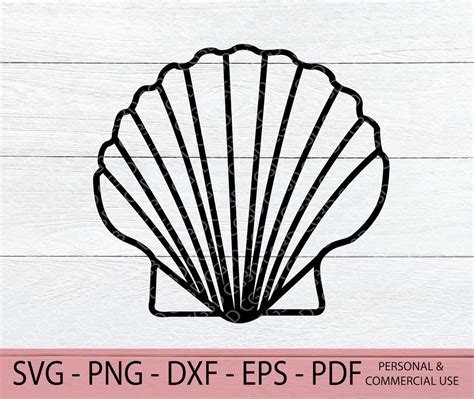 Seashell Svg Seashell Outline Svg Ocean Shell Png Beach Etsy