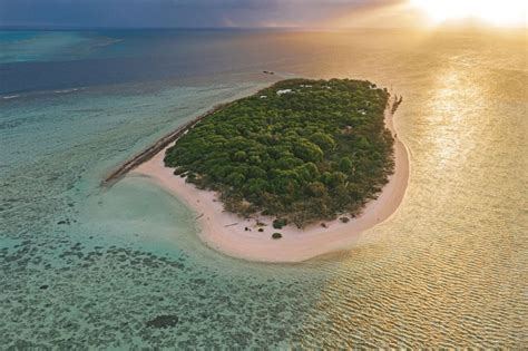 Heron Island Is A Wildlife Lovers Paradise Travel Insider