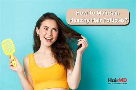 How To Maintain Healthy Hair Follicles