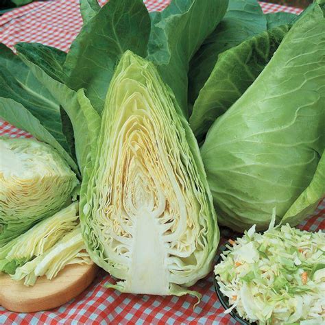 Cabbage Caraflex F1 Organic