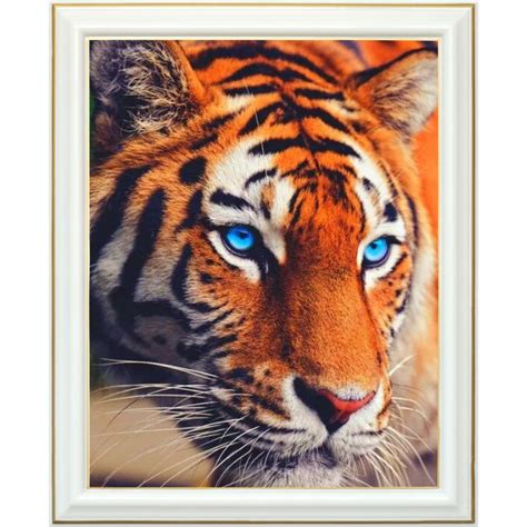 Broderie Diamant Tigre Du Bengale Aux Yeux Bleus X Cm