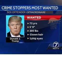 B Donald J Trump Is A Registered Sex Offender Wh Random Chan
