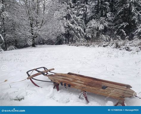 A Meadow of Snow with Traditional Toboggan Sled Stock Photo - Image of ...