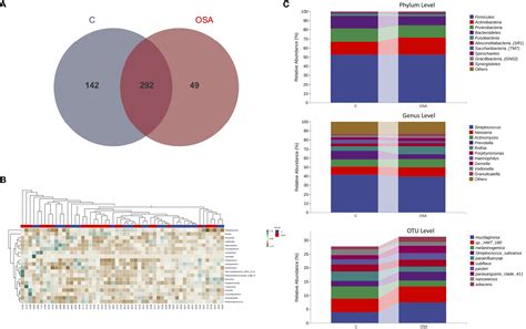 Frontiers Analysis Of Salivary Microbiome And Its Association With