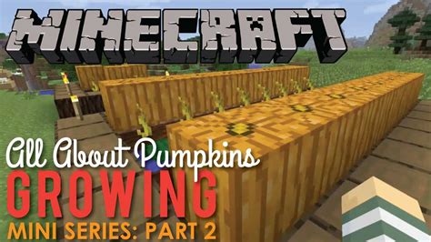 24 How To Grow Pumpkins In Minecraft Ultimate Guide