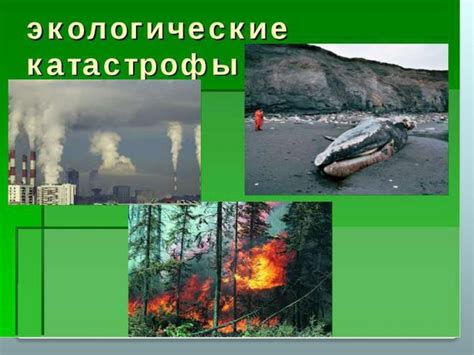 Экология - презентация онлайн
