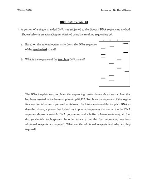 BIOL 367 Tutorial 04 BIOL 367 Tutorial 04 A Portion Of A Single