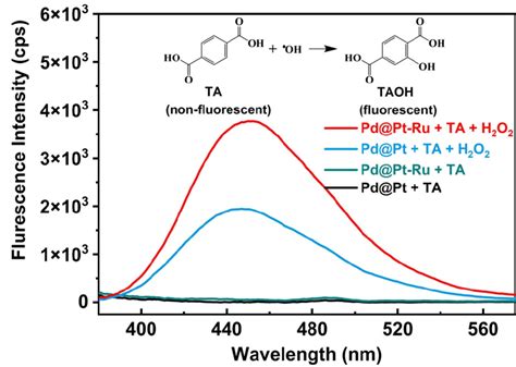 Figure S12 The Detection Of Hydroxyl Radical OH Generated From