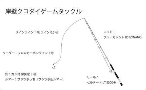 無料ダウンロード ルアー クロダイ 仕掛け 931264 ルアー クロダイ 仕掛け