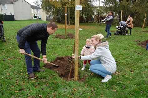 Une Naissance Un Arbre La Suze Sur Sarthe