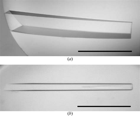 Iucr Crystallization And Preliminary X Ray Analysis Of The C Terminal