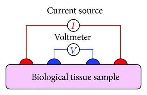 Bioelectrical Impedance Measurement In Technique A Impedance Download Scientific Diagram