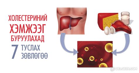 Цусан дахь холестерины хэмжээ ихсэх нь зүрх судасны өвчлөлд хүргэдэг ...
