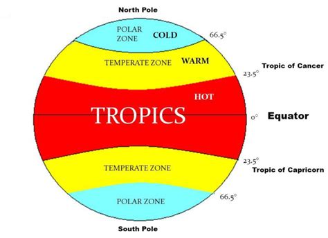 Globe Latitudes and Longitudes – Chapter 2 Class 6 NCERT Geography ...