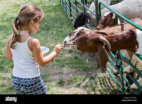 Sterling Heights, Michigan - Children feed farm animals at a petting ...