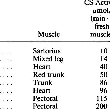 CITRATE SYNTHASE ACTIVITY IN VERTEBRATE MUSCLES | Download Table