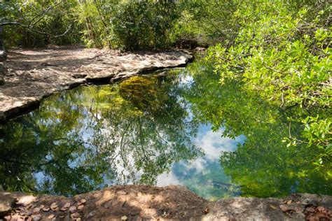 La Jornada Maya Quintana Roo La Jornada Maya 10 Cenotes De