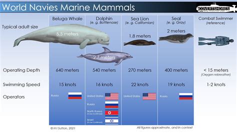 Militarized Dolphins Protect Almost A Quarter Of The Us Nuclea Samim