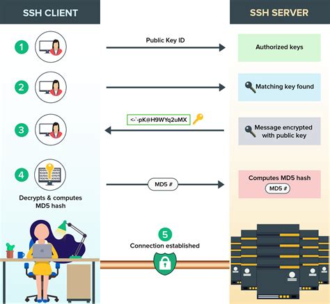 Hướng dẫn tạo SSH Keygen và xác thực kết nối SSH bằng Public Private